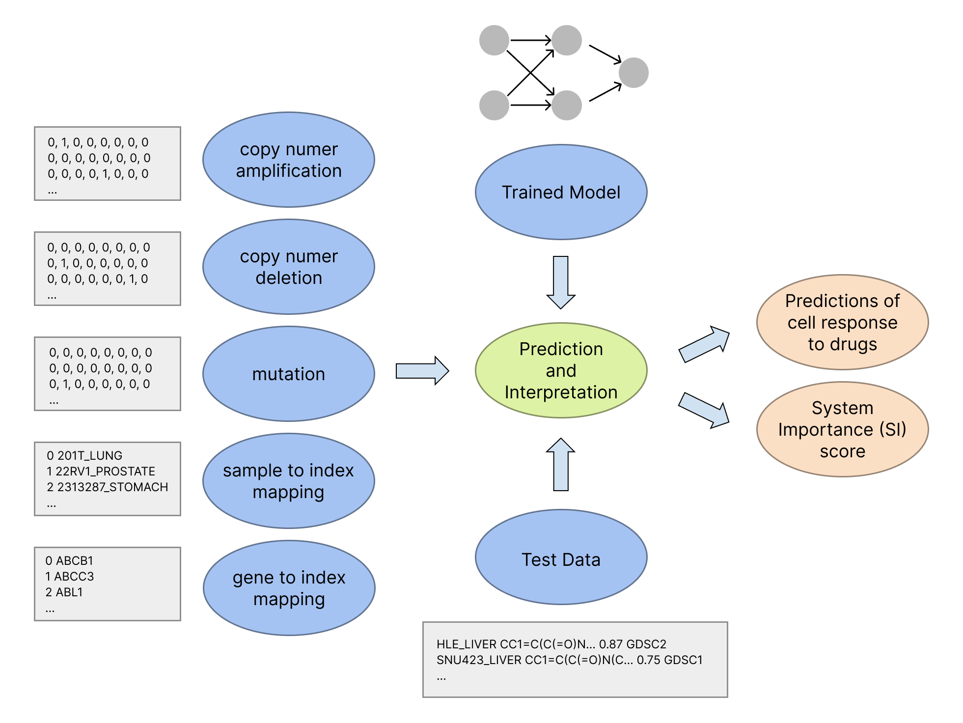Overview of Cell Maps VNN prediction flow for NeST VNN